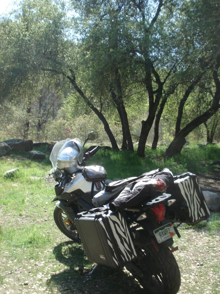 Motorcycle at picnic spot